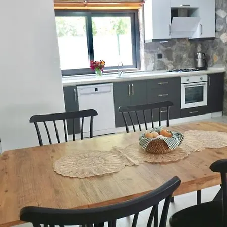 Tas Gonca Fethiye