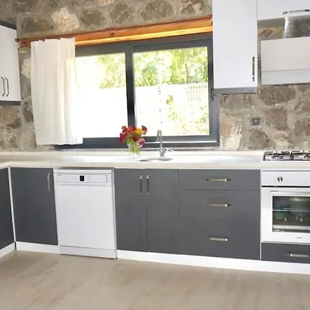 Βίλα Tas Gonca Φετιγιέ