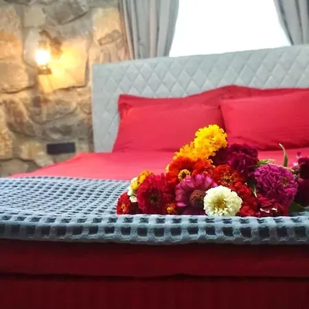 Tas Gonca Villa Fethiye