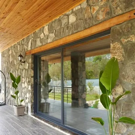 Tas Gonca 费特希耶