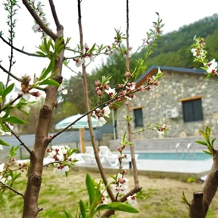 Вилла Tas Gonca