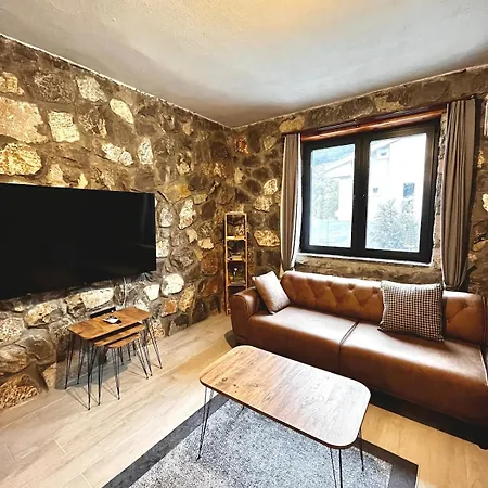 Tas Gonca 费特希耶