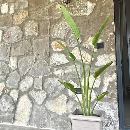 Tas Gonca 别墅 费特希耶