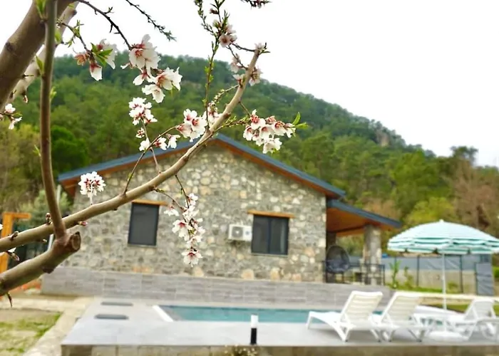 Tas Gonca Villa *