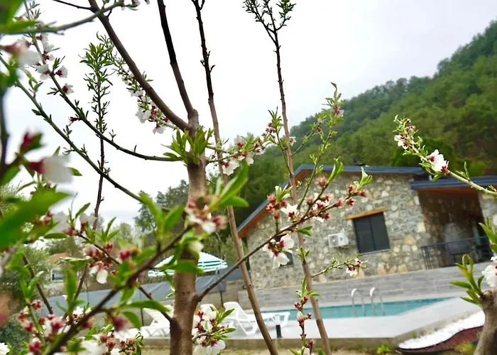 Tas Gonca Villa