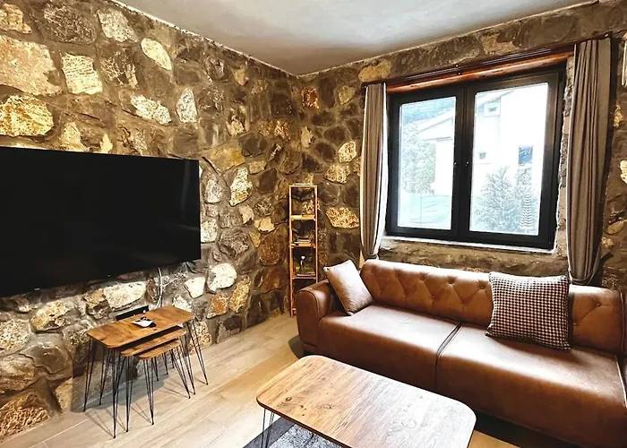 Tas Gonca فتحية