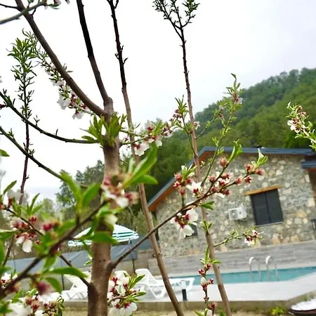 Tas Gonca Βίλα