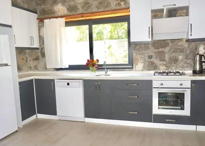 Βίλα Tas Gonca Φετιγιέ