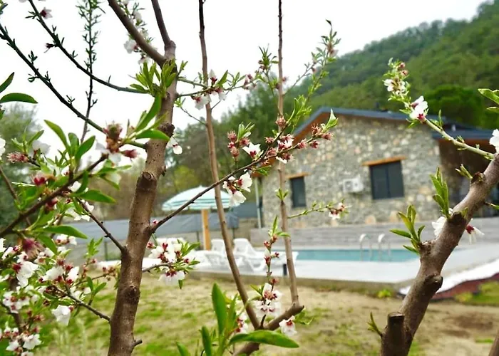 Βίλα Tas Gonca