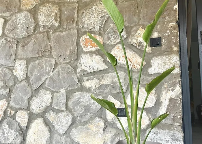 Tas Gonca Βίλα Φετιγιέ